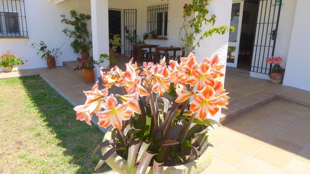 Hotel Casa Fina - Adults Recommended Conil de la Frontera Kültér fotó