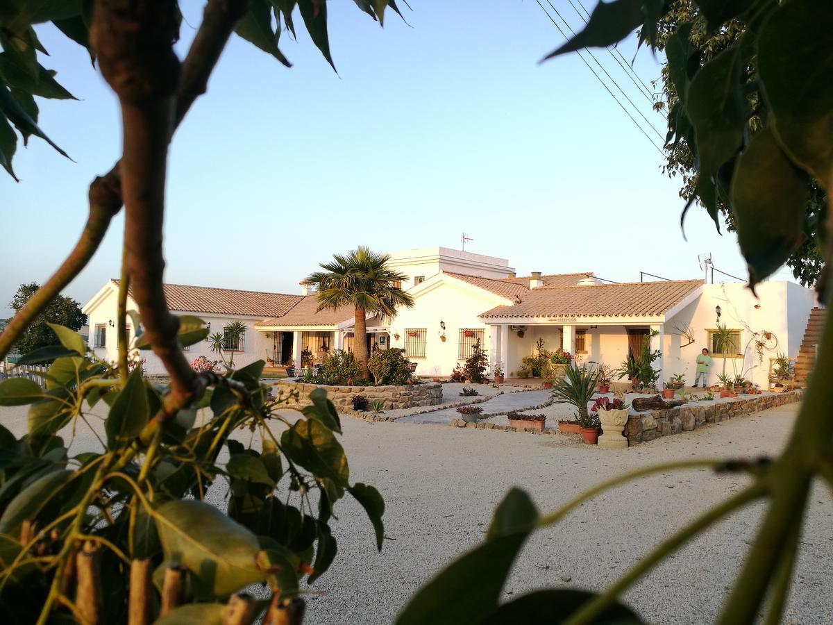 Hotel Casa Fina - Adults Recommended Conil de la Frontera Kültér fotó